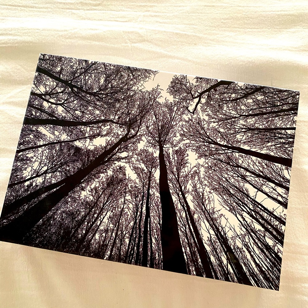 ❤️  Quality challenging 1000-piece PUZZLE “Forest In Black & White”; New In Box